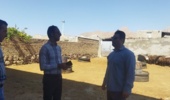 بررسی شرایط پرورش دام و ارائه توصیه‌های فنی در قالب طرح یاوران تولید