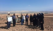 گامی نوین در مدیریت مکانیزاسیون و غلات دیم با اجرای طرح شبکه مزارع الگویی در لرستان