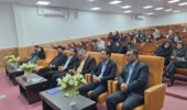 آغاز اجرای برنامه عملیاتی پروژه ظرفیت سازی مدیریت تلفیقی آفات و بیماریهای نخل خرما در کرمان و جنوب کرمان