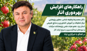 عضو هیات علمی پژوهشکده مرکبات و میوه‌های نیمه‌گرمسیری در گفتگو با خبرگزاری ایانا بمناسبت روز ملی انار