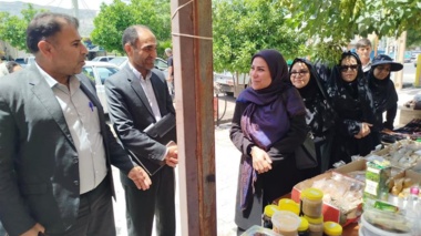 بازدید مدیرکل دفتر توسعه فعالیتهای کشاورزی زنان روستایی از طرح‌های نوآورانه در ایلام
