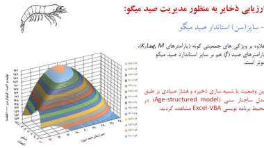 برگزاری دوره آموزشی «مدیریت ذخایر میگو در خلیج فارس» با تدریس  عضو هیأت علمی پژوهشکده اکولوژی خلیج فارس و دریای عمان