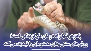 هشدار موسسه رازی درباره مارگزیدگی و عقرب‌زدگی؛ بر درمان های غیرعلمی تکیه نکنید