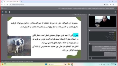 برگزاری دوره آموزشی مدیریت لنگش در گاوهای شیری