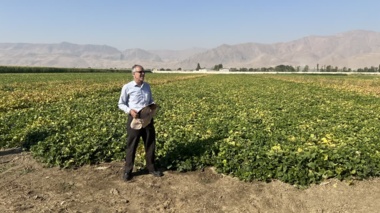 برگزاری رویداد ملی «روز انتقال یافته‌های تحقیقاتی» در لرستان / از معرفی ارقام پرپتانسیل لوبیا تا پیاده‌سازی الگوی کشت مکانیزه با آبیاری تیپ