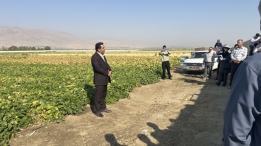 نباتی مدیر جهاد کشاورزی شهرستان بروجرد: تحقق عینی پیوند علم