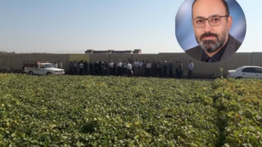 روز انتقال یافته‌های تحقیقاتی در پردیس بروجرد؛ ایجاد پل ارتباطی میان پژوهش، آموزش و عرصه تولید