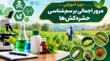برگزاری دوره آموزشی «مرور اجمالی بر سم‌شناسی حشره‌کش‌ها» در مرکز آموزش عالی امام خمینی(ره)