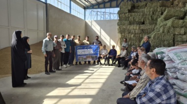 روز مزرعه ذرت علوفه‌ای با محوریت برداشت و تنظیم ماشین‌آلات در روستای مرزیجران اراک