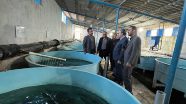 احیای مرکز تحقیقات ژنتیک ماهیان سردآبی یاسوج؛ راهکار کلیدی برای کاهش واردات تخم‌چشم‌زده