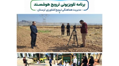 از مدیریت علف‌های هرز پیش‌کاشت تا ضدعفونی بذور؛ توصیه‌های تخصصی «پیرزادی» و «دالوند» برای جهش تولید در مزارع کلزای لرستان