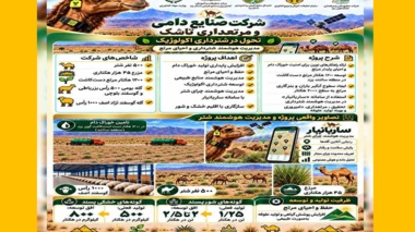 بازدید معاون رئیس‌جمهور از دستاوردهای دانش‌بنیان یزد در هوشمند سازی پرورش شتر / تأکید بر توسعه ملی الگوی اکولوژیک شتر و ضرورت هوشمندسازی