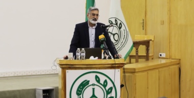 افزایش سهم ارقام جدید گندم در طبقه گواهی شده از ۳ درصد به ۵۷ درصد
