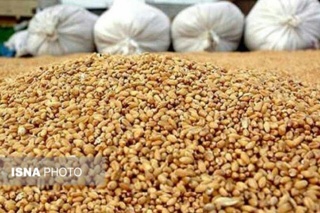 دستیابی به دانش فنی تولید جایگزین بومی کنجاله سویا با استفاده از ضایعات کشاورزی