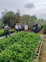 بررسی سلامت و استانداردهای تولید