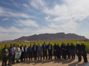 نهمین کاروان ترویج بهره‌وری ویژه الگوی کشت محصولات زراعی