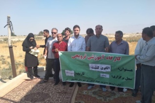 دوره آموزشی تغییر اقلیم بر الگوی کشت و تناوب زراعی