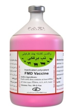 جداسازی ویروس تب برفکی SAT1 و تولید بذر واکسن در موسسه رازی