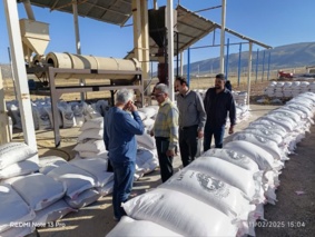 ارزیابی و نمونه‌برداری از پارت‌های بذر گندم و جو اصلاح‌شده در استان ایلام