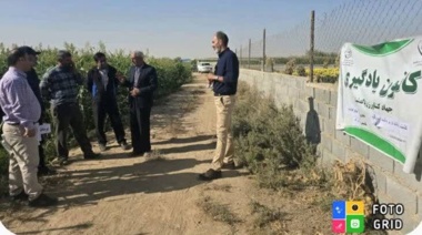 دوره آموزشی کاشت، داشت و برداشت سورگوم در قالب کانون یادگیری