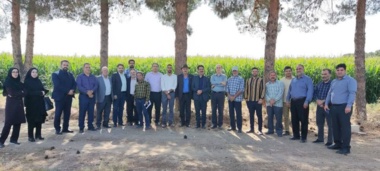 برگزاری روز مزرعه با محور «ارتقای بهره‌وری مصرف آب» در کشاورزی استان سمنان