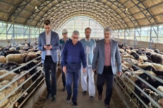 بازدید رئیس موسسه تحقیقات علوم دامی کشور از ایستگاه گاودشت