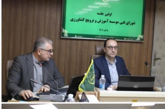 تاکید معاون سازمان تات؛بر اجرای دقیق برنامه‌ها و پیگیری مصوبات