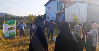 برگزاری کارگاه آموزشی و ترویجی روز انتقال یافته‌های تحقیقاتی با محوریت کنترل بیماری های مرکبات و مگس میوه مدیترانه ای