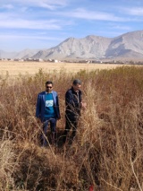 بازدید کمیته فنی نهال استان مرکزی از نهالستان‌های سردسیری