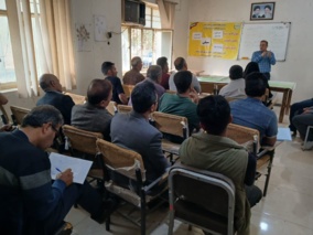 مدیریت تغذیه بهینه در بهره‌وری گوجه‌فرنگی