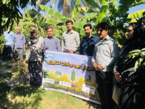 برگزاری کارگاه آموزشی ترویجی مدیریت آفت مگس انبه