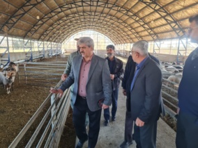 بازدید رئیس موسسه تحقیقات علوم دامی کشور از ایستگاه گاودشت