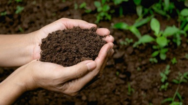 پژوهشگر خوزستانی هشدار داد: خاک حاصلخیز خوزستان در آستانه نابودی