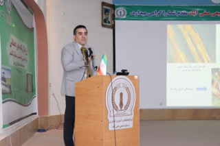تشخیص صحیح عامل بیماری‌های گندم؛ کلید کاهش مصرف سموم و افزایش پایداری تولید