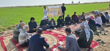 دستیابی به پتانسیل عملکرد گندم