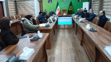 ایران میزبان ذخایر جهانی زیتون