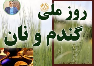 پیام رئیس مؤسسه تحقیقات اصلاح و تهیه نهال و بذر به مناسبت فرارسیدن روز ملی گندم و نان