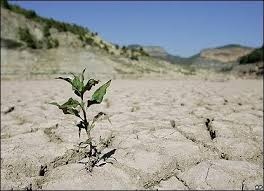 دوره آموزشی خشکسالی در کشاورزی، راه‌های مدیریت و کاهش پیامدهای آن را بررسی می‌کند