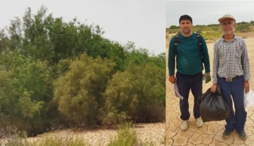 افزایش چشمگیر پوشش گیاهی و کاهش شوری از ۳۰۰۰۰ به ۱۵۰۰ میکروزیمنس در پروژه آبخیزداری دهنو هندیجان