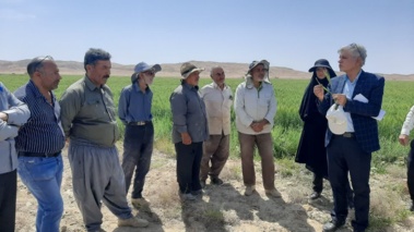 کارگاه آموزشی و بازدید میدانی در سرخه با تمرکز بر طرح پتانسیل‌یابی گندم