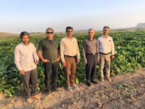 بازدید گروه نظارت و ارزشیابی مؤسسه تحقیقات اصلاح و تهیه بذر چغندرقند در سفر به خوزستان