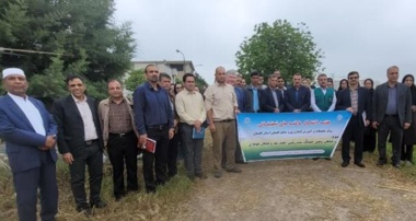 تأکید رئیس مرکز تحقیقات و آموزش کشاورزی گلستان بر نقش دانش فنی در پایداری تولید و امنیت غذایی