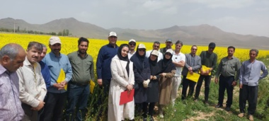 برگزاری روز مزرعه کلزا در روستای ایجان شهرستان خنداب با تاکید بر مصرف بهینه آب