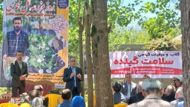 بوی گلاب در شفت