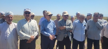 رونمایی از ارقام امیدبخش گندم و جو در روز مزرعه ایستگاه تحقیقات شوری