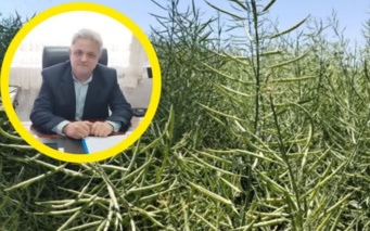 تغذیه تلفیقی گیاه؛ راهکاری عملیاتی برای غلبه بر تنش خشکی در مزارع تهران