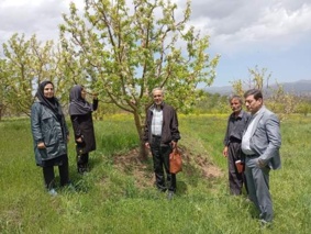 انتقال دانش گیاه‌پزشکی به باغداران اهر برای مقابله با لکه سیاه سیب