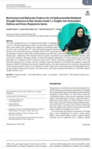 ثبت سه ژن جدید در چاودار