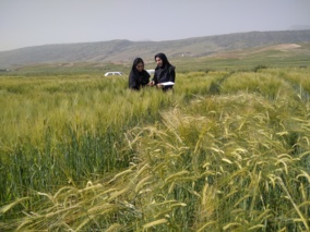 گامی نو در ارتقای پروژه‌های کشاورزی