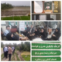 تجربه موفق یک کشاورز گیلانی